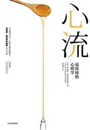 《心流》图书封面